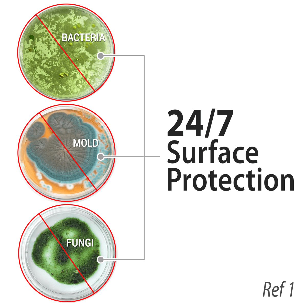 ASP antimicrobial surface protection